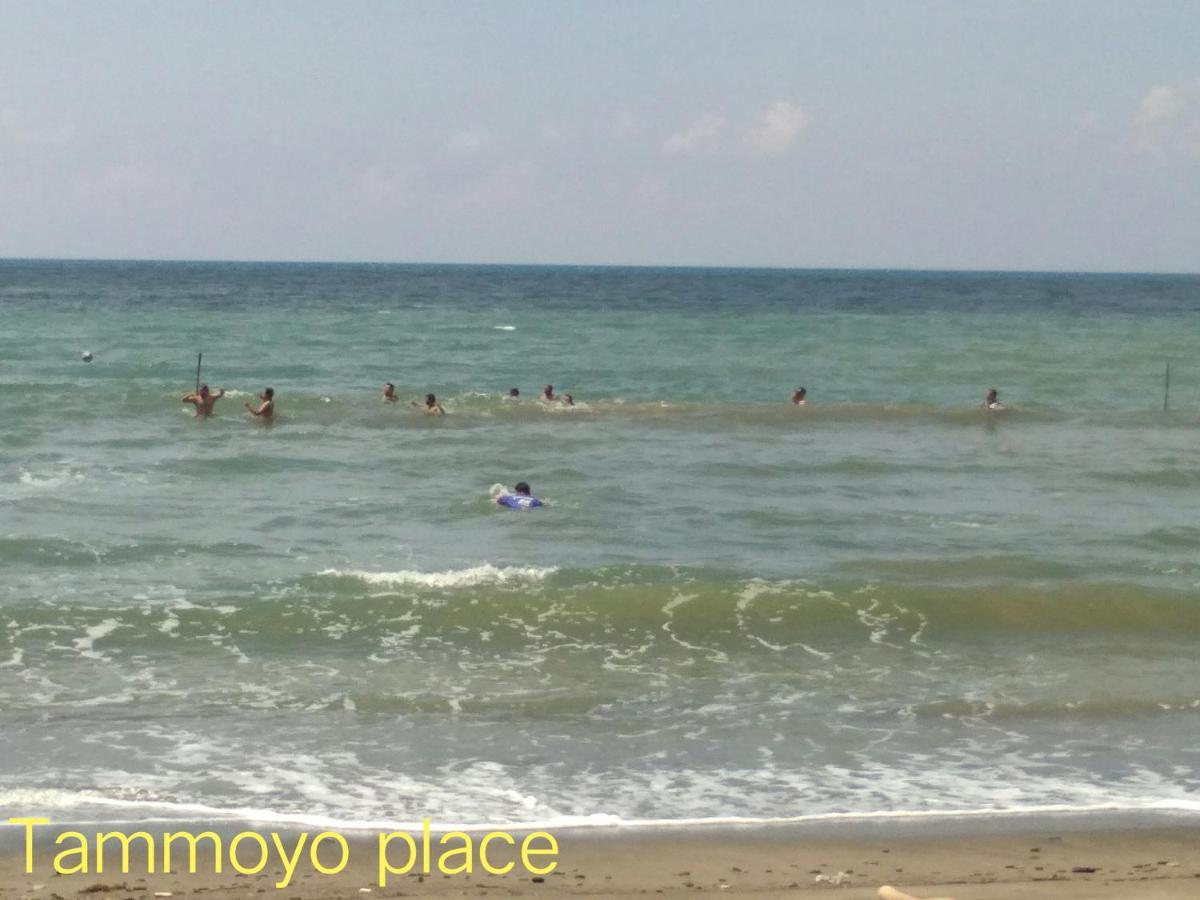 קודאט Tammoyo Place מראה חיצוני תמונה