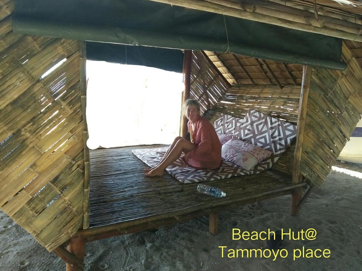 קודאט Tammoyo Place מראה חיצוני תמונה